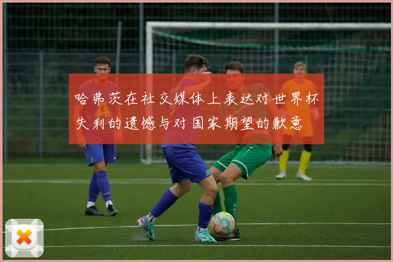 哈弗茨在社交媒体上表达对世界杯失利的遗憾与对国家期望的歉意