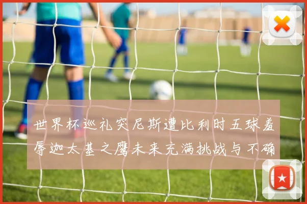 世界杯巡礼突尼斯遭比利时五球羞辱迦太基之鹰未来充满挑战与不确定性